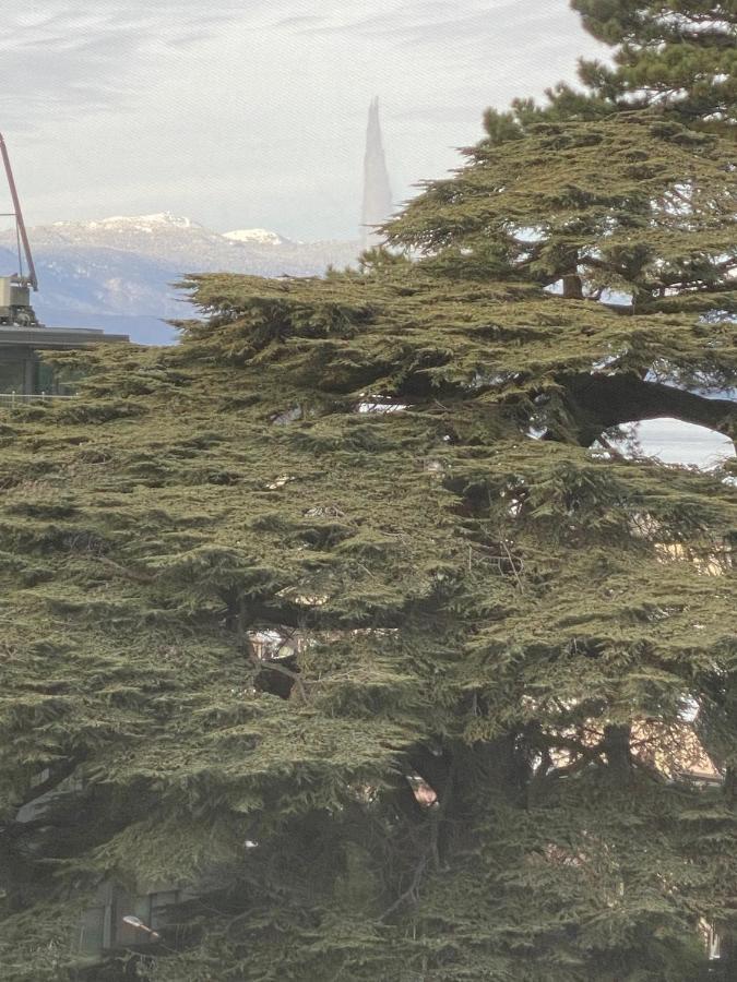 Geneve, Plein Centre,Belle Vue Lac, Splendide Et Grand Appartement Luaran gambar